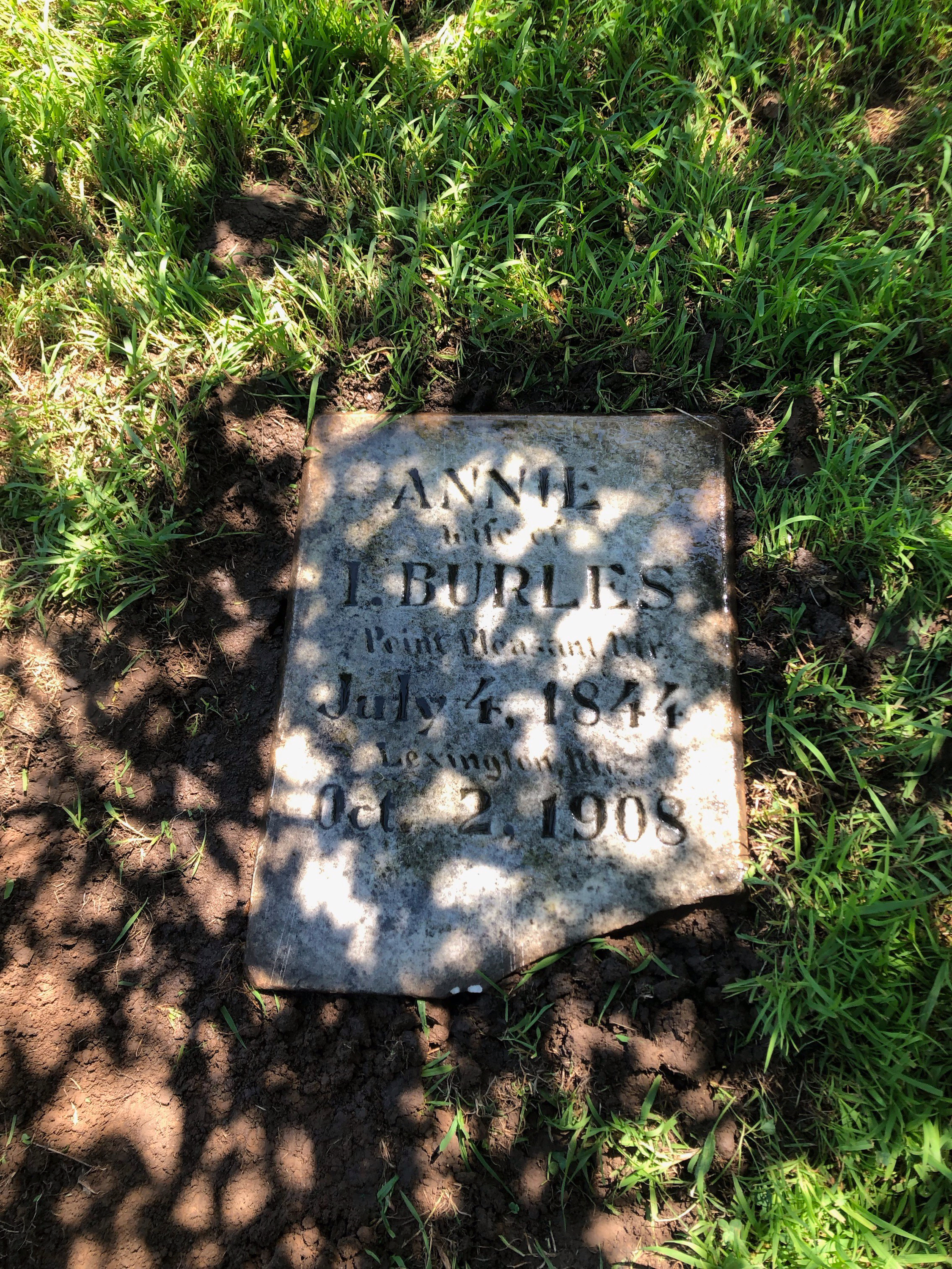 IMG_6795 FOREST GROVE CEMETERY PROJECT